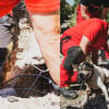 Illustration : Les pompiers mobilisent une &eacute;quipe sp&eacute;cialis&eacute;e et creusent la chauss&eacute;e pour sauver un chien bloqu&eacute; dans un conduit sous la route