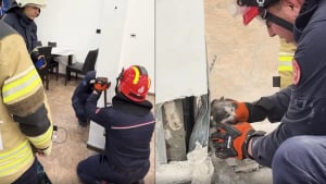 Illustration : "Pour sauver un chaton coincé dans un des piliers d'un restaurant, les pompiers n'hésitent pas à y creuser un trou (vidéo)"