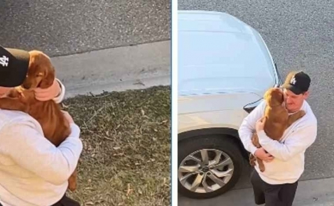 Un papa surprend ses enfants avec un chiot Golden Retriever et déclenche une immense réaction de joie (vidéo)