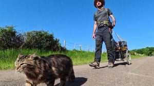 Illustration : « Il reste encore 100 ou 200 km à marcher », Framboise la chatte baroudeuse sillonne le Grand Est et dort en bivouac (vidéo)