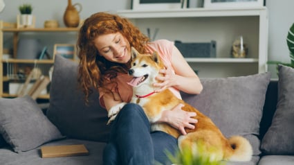 Illustration : &Agrave; la d&eacute;couverte de Blooming Pets, la plateforme de garde &agrave; domicile adapt&eacute;e &agrave; tous les animaux