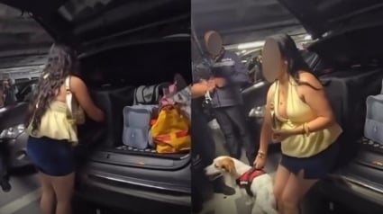 Illustration : Son chien enferm&eacute; dans le coffre de sa voiture, elle revient au bout de 3 heures en demandant aux policiers s'il &laquo; chouinait &raquo;