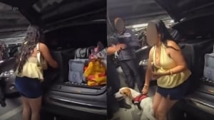 Illustration : "Son chien enfermé dans le coffre de sa voiture, elle revient au bout de 3 heures en demandant aux policiers s'il « chouinait »"