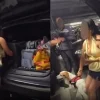 Illustration : Son chien enferm&eacute; dans le coffre de sa voiture, elle revient au bout de 3 heures en demandant aux policiers s'il &laquo; chouinait &raquo;