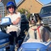 Illustration : Ce Saint-Bernard sauv&eacute; apr&egrave;s un abandon sillonne d&eacute;sormais les routes &agrave; bord du side-car de son adoptant