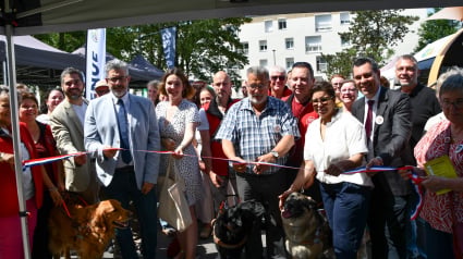 Illustration : &Agrave; Arras (62), un village du "Bien-&ecirc;tre animal" a &eacute;t&eacute; cr&eacute;&eacute; pour sensibiliser apr&egrave;s un acte de cruaut&eacute; survenu 7 mois plus t&ocirc;t