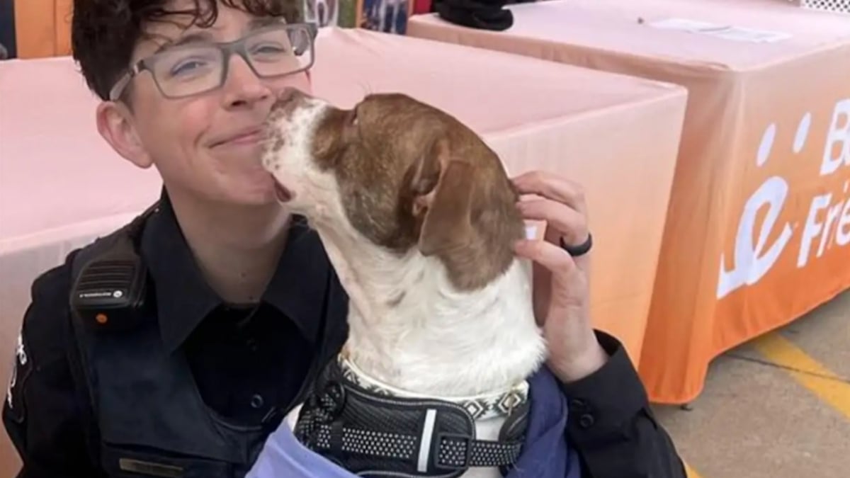 Illustration : "Alors qu'elle patrouillait, une policière s'arrête à un événement d'adoption et ressent le coup de foudre pour un chien"