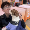 Illustration : Alors qu'elle patrouillait, une polici&egrave;re s'arr&ecirc;te &agrave; un &eacute;v&eacute;nement d'adoption et ressent le coup de foudre pour un chien