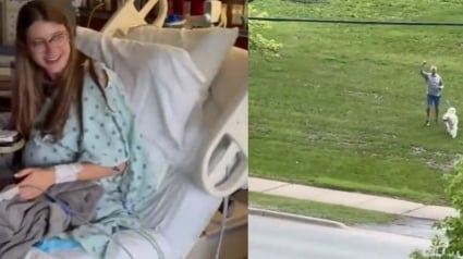 Illustration : Juste avant d&rsquo;accoucher, cette femme re&ccedil;oit la surprise de voir par la fen&ecirc;tre de l&rsquo;h&ocirc;pital son chien venu l&rsquo;encourager (vid&eacute;o)