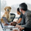 Illustration : Votre chien vous reconna&icirc;t-il sur un &eacute;cran d&rsquo;ordinateur ? Une &eacute;tude scientifique r&eacute;pond