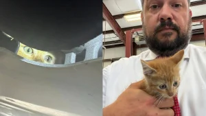 Illustration : Un sergent de police découvre un chaton coincé dans le moteur d’une voiture de patrouille et le sauve avant de l’adopter