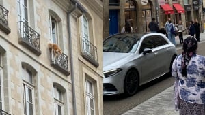 Illustration : "A Rennes, un chien longtemps suspendu au 3e étage finit par tomber mais sa chute est amortie par un drap tendu par des passants"