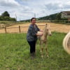 Illustration : Entretien avec Charlotte Gu&eacute;rardelle, fondatrice de Blooming Pets : &laquo; La garde d&rsquo;animaux &agrave; domicile est souvent la solution la plus adapt&eacute;e &raquo;