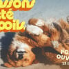Illustration : Weekend Portes Ouvertes de la SPA, un rendez-vous convivial pour changer la vie des animaux des refuges et &laquo; passer l'&eacute;t&eacute; &agrave; poils &raquo;