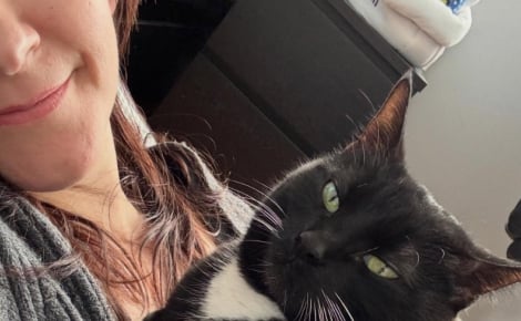 Une femme rencontre une chatte de 4 ans sur le bord d’une route et lui offre l’opportunité d’une deuxième chance au sein d’une famille