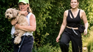 Illustration : Disparu après avoir fui un accident ce chien coincé par sa laisse dans les bois est sauvé par 2 cyclistes