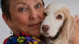 Illustration : Une communauté de toiletteurs se mobilise pour prendre en charge les chiens des clients de leur collègue atteinte d'un cancer