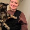Illustration : Milo le chat refuse cat&eacute;goriquement le sac de transport ventral de son humaine mais change d'avis en voyant sa cong&eacute;n&egrave;re en profiter (vid&eacute;o)
