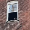 Illustration : Coinc&eacute; dans une maison abandonn&eacute;e, ce Pitbull appelait &agrave; l'aide depuis une fen&ecirc;tre jusqu'&agrave; ce qu'une b&eacute;n&eacute;vole change son destin (vid&eacute;o)