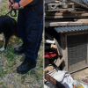 Illustration : Enferm&eacute; depuis 3 jours dans une cage &agrave; poules sans eau ni nourriture, ce chien est sauv&eacute; par la police de Marseille