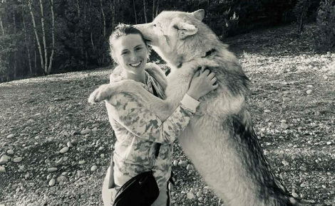 La famille d'un chien-loup de 6 ans se mobilise pour le garder alors qu'il est menacé de saisie après des analyses ADN