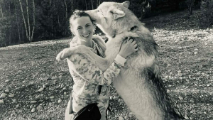 Illustration : La famille d'un chien-loup de 6 ans se mobilise pour le garder alors qu'il est menacé de saisie après des analyses ADN