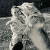 Illustration : La famille d'un chien-loup de 6 ans se mobilise pour le garder alors qu'il est menac&eacute; de saisie apr&egrave;s des analyses ADN