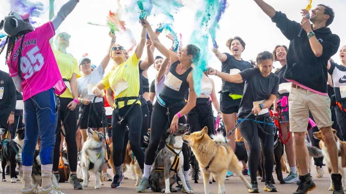 Illustration : "Woofest, le grand festival canin, revient les 13 et 14 juin 2026 à Lyon pour un week-end entre course dans la boue, jeux et balades"