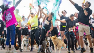 Illustration : "Woofest, le grand festival canin, revient les 13 et 14 juin 2026 à Lyon pour un week-end entre course dans la boue, jeux et balades"