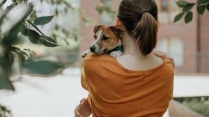Illustration : La Conf&eacute;d&eacute;ration Nationale D&eacute;fense de l'Animal veut mieux prot&eacute;ger les animaux souvent oubli&eacute;s dans les affaires de violences intrafamiliales