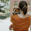 Illustration : La Conf&eacute;d&eacute;ration Nationale D&eacute;fense de l'Animal veut mieux prot&eacute;ger les animaux souvent oubli&eacute;s dans les affaires de violences intrafamiliales