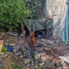 Illustration : Dans le Var (83), une intervention des gendarmes et de la SPA permet de sauver 3 chiens enferm&eacute;s en cage et vivant dans des conditions indignes