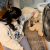 Illustration : Une famille d'accueil s'attache tellement &agrave; la chienne la plus apathique que les b&eacute;n&eacute;voles ait sauv&eacute;e qu'elle finit par l'adopter (vid&eacute;o)