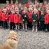 Illustration : Pour les 4 ans de leur chienne de th&eacute;rapie, des &eacute;l&egrave;ves lui r&eacute;servent une adorable surprise en lui chantant &laquo; Joyeux anniversaire &raquo; (vid&eacute;o)