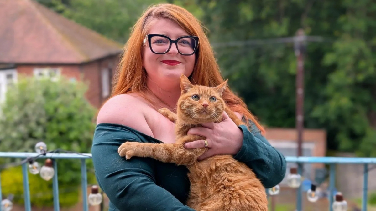 Illustration : "Pour recréer du lien entre voisins, elle lance un annuaire dédié aux chats de son quartier (vidéo)"