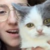 Illustration : Ce chat atteint de nanisme est souvent compar&eacute; &agrave; une peluche et affiche une mine faussement fatigu&eacute;e (vid&eacute;o)