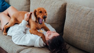 Illustration : "Empathie canine : la science prouve que le bâillement de votre chien est une preuve d'attachement"