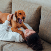 Illustration : Empathie canine : la science prouve que le b&acirc;illement de votre chien est une preuve d'attachement