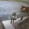 Illustration : Film&eacute;s par des cam&eacute;ras, 2 individus abandonnent 13 chats devant une clinique v&eacute;t&eacute;rinaire qui les secourt en urgence