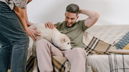 Illustration : Pourquoi votre chien renifle-t-il l'entrejambe de vos invit&eacute;s ?