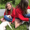 Illustration : Il emm&egrave;ne sa copine en rendez-vous dans un refuge pour chiens et repart avec un nouveau membre de la famille (vid&eacute;o)