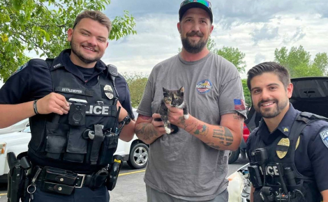 Un chaton est sauvé 2 fois dans la même journée après être resté coincé dans 2 véhicules différents