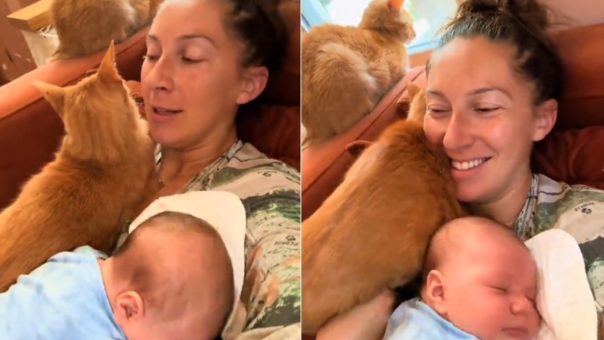 Illustration : "Tenant son bébé nouveau-né contre elle, cette maman ne peut plus bouger quand son chat roux vient se blottir à son tour (vidéo)"