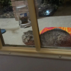 Illustration : Pendant 5 nuits, ce vieux chat malade attend devant la m&ecirc;me maison et trouve des humains pr&ecirc;ts &agrave; prendre soin de lui (vid&eacute;o)