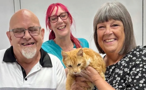 7 mois après avoir pris la fuite un soir de feux d’artifice, ce chat refait surface à 60 km de chez lui