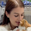 Illustration : Apr&egrave;s son sauvetage, ce chat errant s&rsquo;agrippe &agrave; sa sauveteuse pour lui faire comprendre qu&rsquo; &laquo; elle est son monde maintenant &raquo; (vid&eacute;o)
