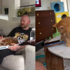 Illustration : Priv&eacute;e de pizza, une petite chatte rousse exprime son m&eacute;contentement en boudant toute la journ&eacute;e (vid&eacute;o)