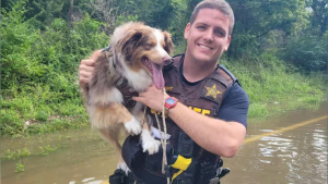 Illustration : Bloqu&eacute;s dans la voiture et menac&eacute;s par les inondations, un chien et sa ma&icirc;tresse de 72 ans sont sauv&eacute;s in extremis par un policier