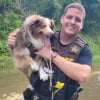 Illustration : Bloqu&eacute;s dans la voiture et menac&eacute;s par les inondations, un chien et sa ma&icirc;tresse de 72 ans sont sauv&eacute;s in extremis par un policier