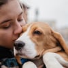 Illustration : Selon une &eacute;tude, les chiens boudent les personnes qui sont m&eacute;chantes avec leur ma&icirc;tre